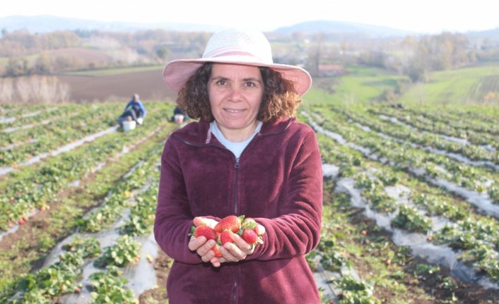 Şehirden köye dönen kadın girişimci tarıma yönelerek üretici oldu