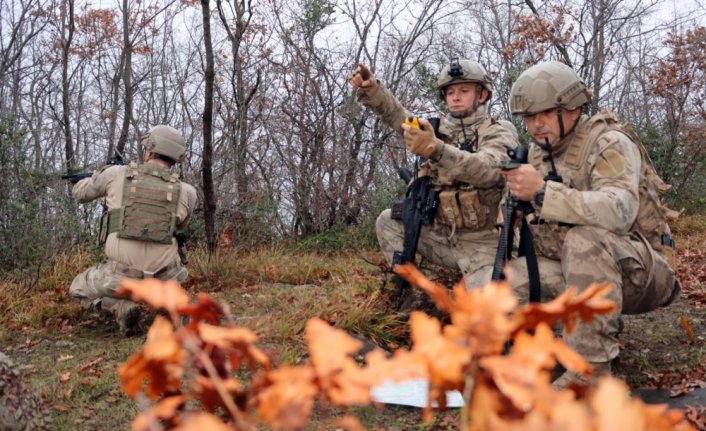 Sinop'ta komandolar tarafından kırsalda arama ve tarama faaliyeti gerçekleştirildi