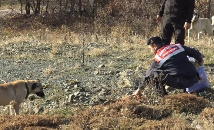 Tokat'ta off-road pilotları yaban hayvanları için doğaya yem bıraktı