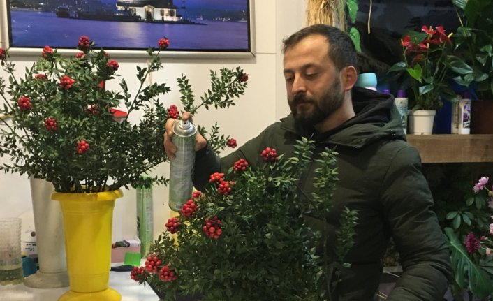 Yılbaşının simgelerinden kokina çiçeği tezgahlarda yerini aldı