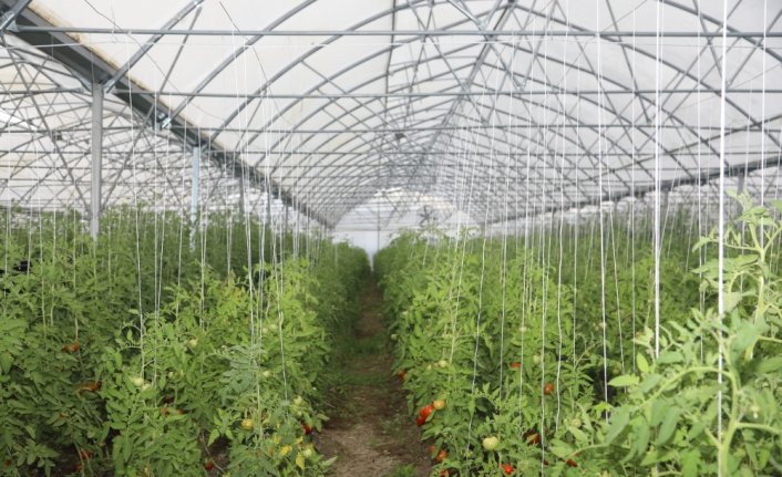 Doğu Karadeniz'de kalkınmaya 2023'te 1 milyar lira destek hedefleniyor