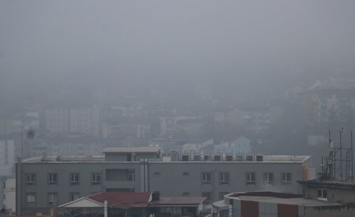 Düzce ve Karabük'te sis, görüş mesafesini düşürdü