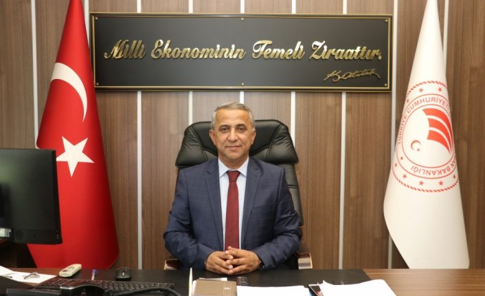 İl Tarım ve Orman Müdürü Sağlam'dan buzağı bakımı açıklaması