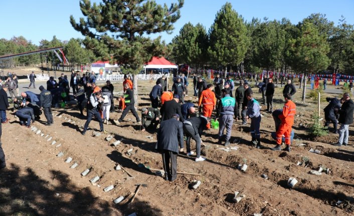 Karabük'te 2022'de 170 bin fidan toprakla buluştu