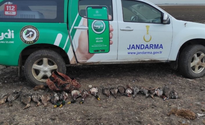Kızılırmak Deltası Kuş Cenneti'nde kaçak avcılık yapan 2 kişi yakalandı