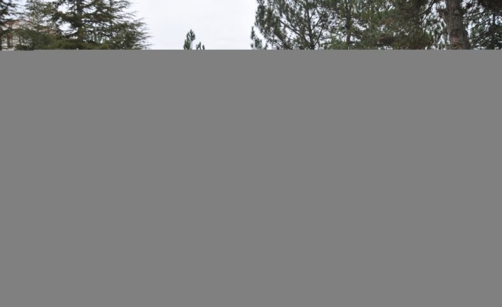 Milli güreşçi Hamit Kaplan, Amasya'da mezarı başında anıldı