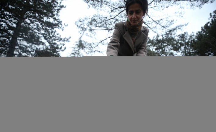 Normalin üzerinde seyreden hava sıcaklıkları arı popülasyonunda kayıplara neden olabilir