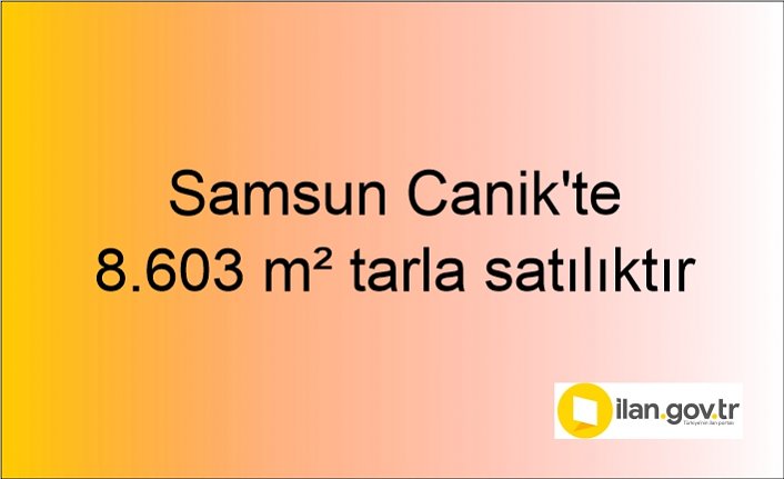 Samsun Canik'te 8.603 m² tarla mahkemeden satılıktır