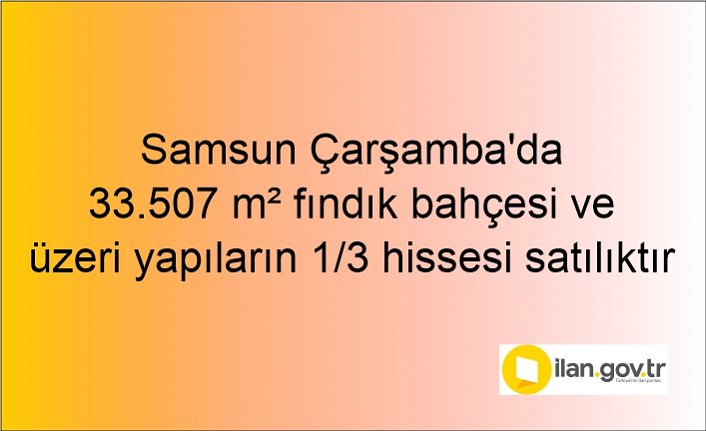 Samsun Çarşamba'da 33.507 m² fındık bahçesi ve üzeri yapıların 1/3 hissesi icradan satılıktır