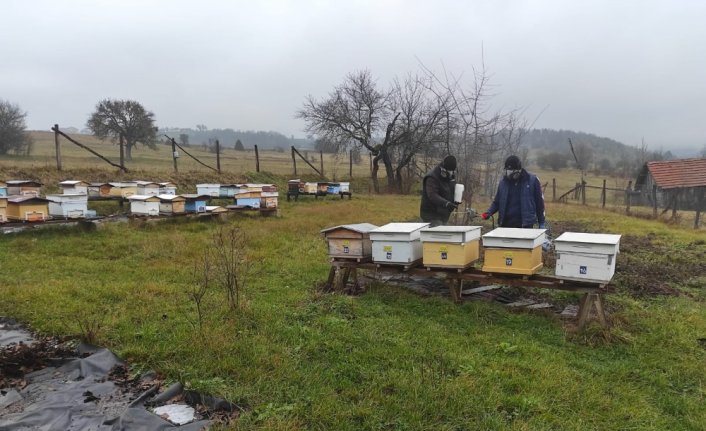 Seben'de “arı kenesi“ne karşı ilaçlama çalışması yapıldı