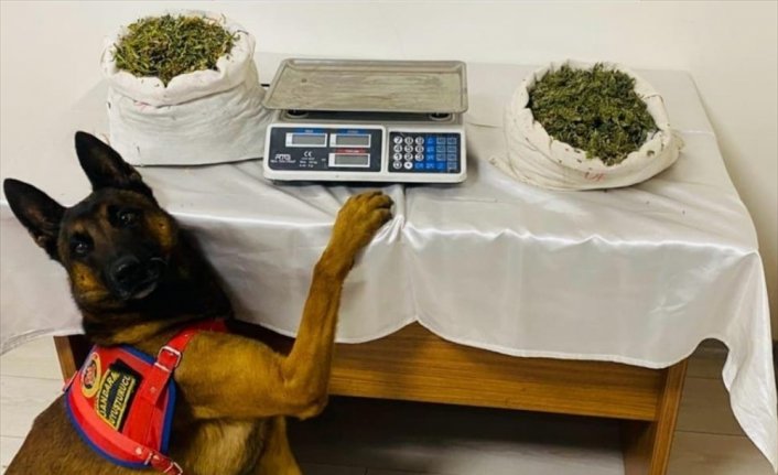 Trabzon'da uyuşturucu operasyonunda 1 kişi tutuklandı