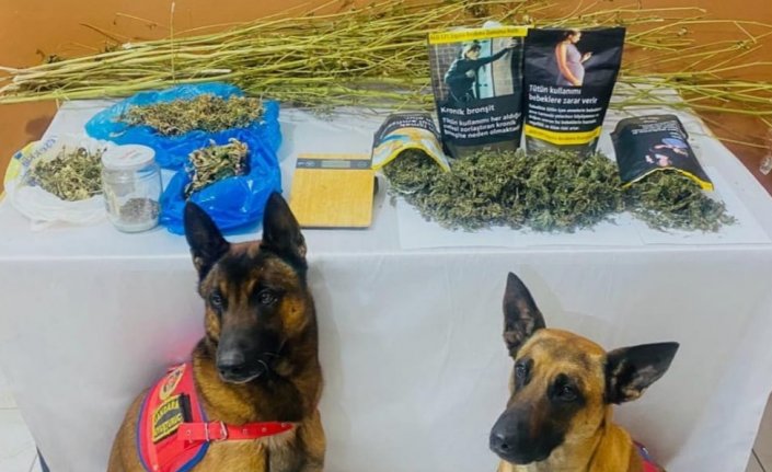 Trabzon'da uyuşturucu operasyonunda gözaltına alınan 2 zanlı tutuklandı