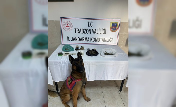 Trabzon'daki uyuşturucu operasyonunda 2 kişi yakalandı