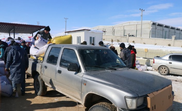 Depremden etkilenen Elbistan'da besicilere ücretsiz yem desteği