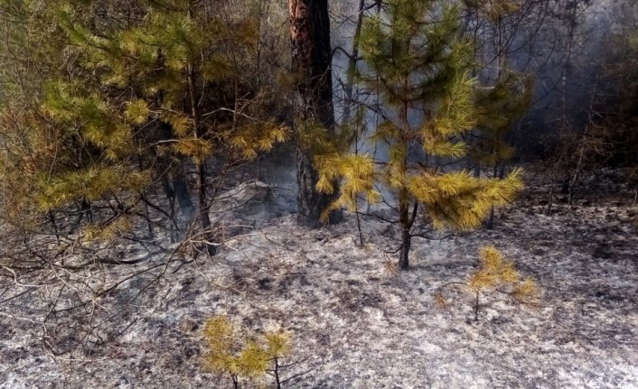 Karabük'te çıkan örtü yangını söndürüldü