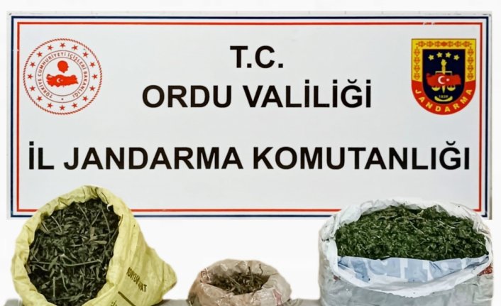 Ordu'da uyuşturucu operasyonunda 1 şüpheli tutuklandı