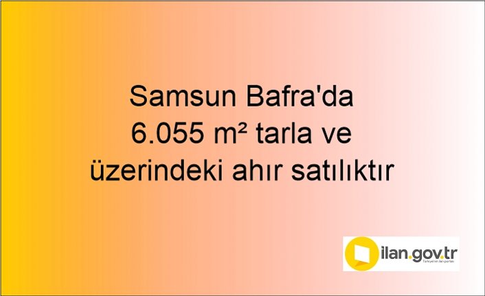 Samsun Bafra'da 6.055 m² tarla ve üzerindeki ahır icradan satılıktır
