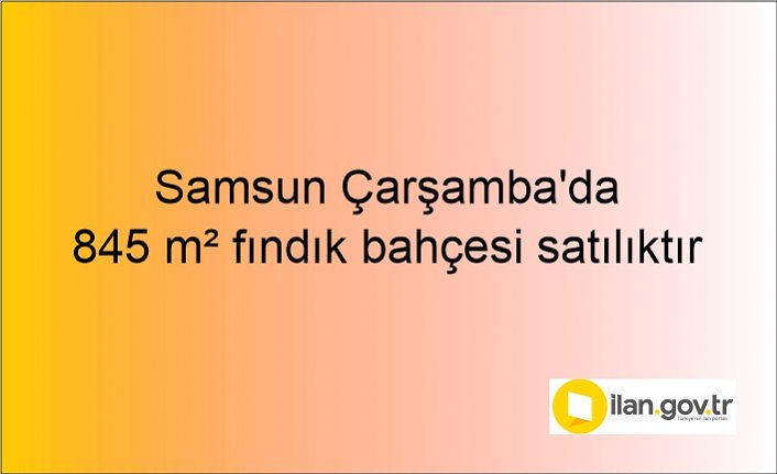 Samsun Çarşamba'da 845 m² fındık bahçesi icradan satılıktır