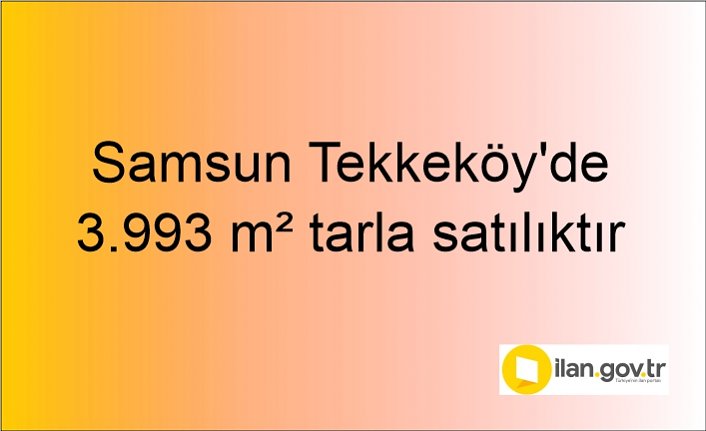 Samsun Tekkeköy'de 3.993 m² tarla icradan satılıktır
