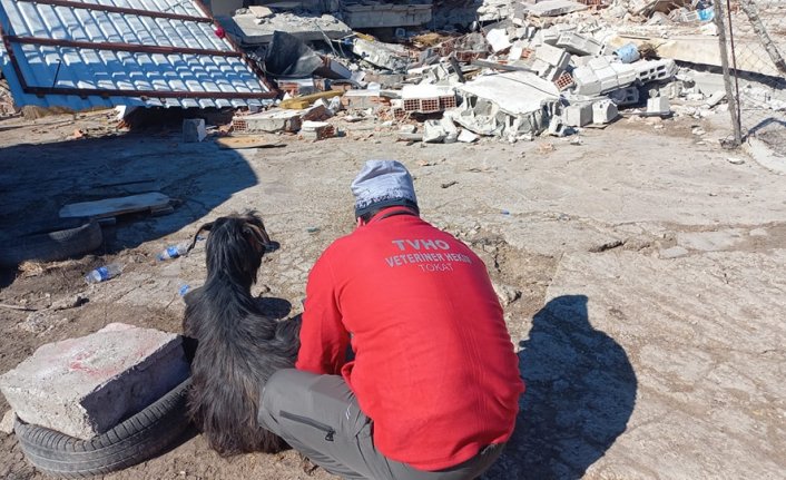 Tokatlı veteriner hekimler enkazdan 6 keçiyi çıkardı