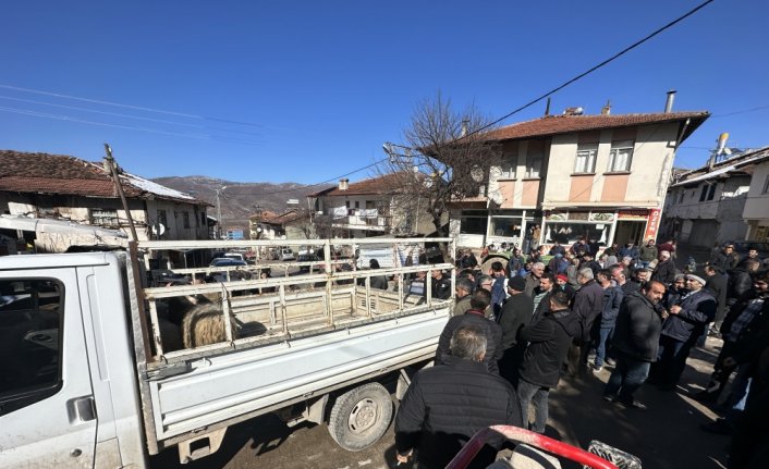 Tokat'ta iki küçükbaş hayvan depremzedeler yararına açık artırmada satıldı