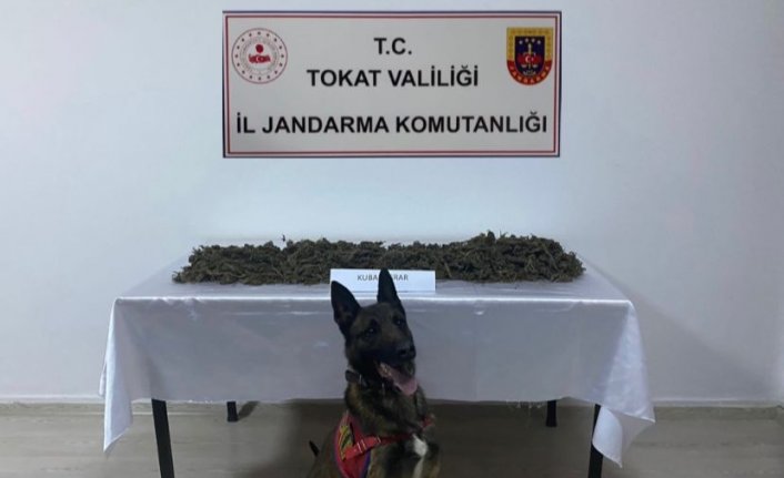 Tokat'ta uyuşturucu madde sattığı öne sürülen zanlı tutuklandı