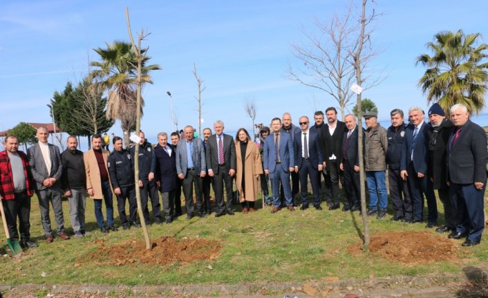 Depremde hayatını kaybedenler için Of'ta hatıra ormanı oluşturuldu