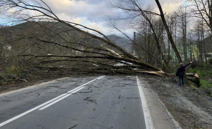 GÜNCELLEME - Rize'de şiddetli fırtına etkili oldu