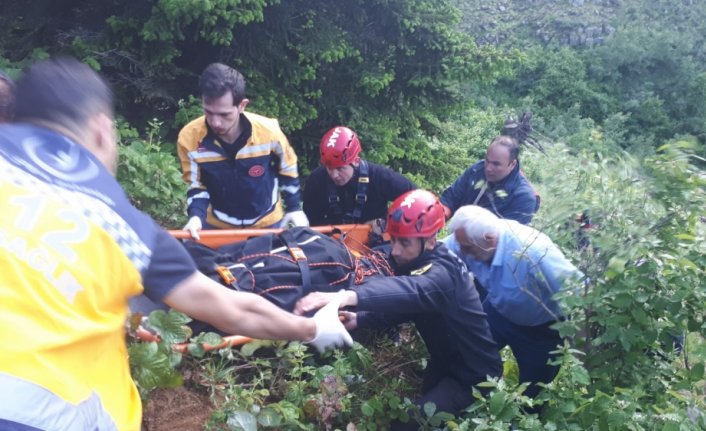 Artvin'de yayla yolunda uçuruma yuvarlanan kamyonetin sürücüsü öldü