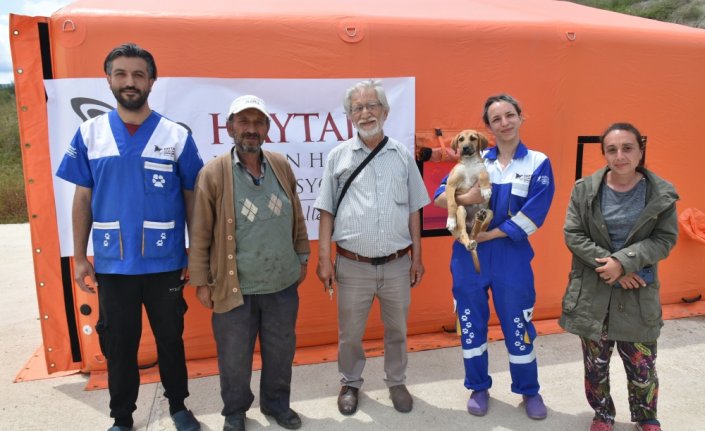 Boyabat Belediyesi ve HAYTAP işbirliğiyle sahipsiz hayvanların tedavi ve bakımları yapıldı