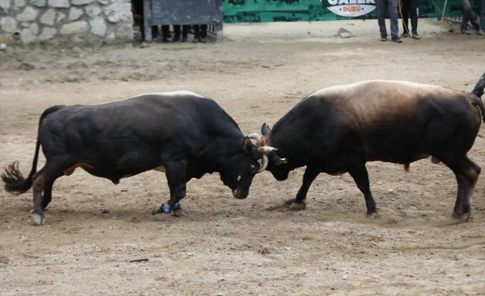 Rize'de 27. Çamlıhemşin Ayder Kültür, Sanat ve Doğa Festivali sona erdi