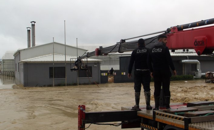 Sinop'ta sağanak nedeniyle mahsur kalan evcil hayvanlar vinç yardımıyla kurtarıldı