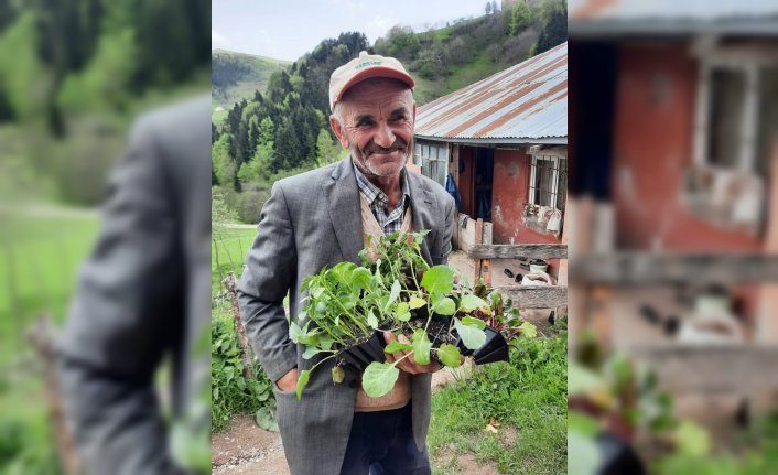Yavuzkemal beldesi halkına sebze tohum ve fidanları dağıtıldı