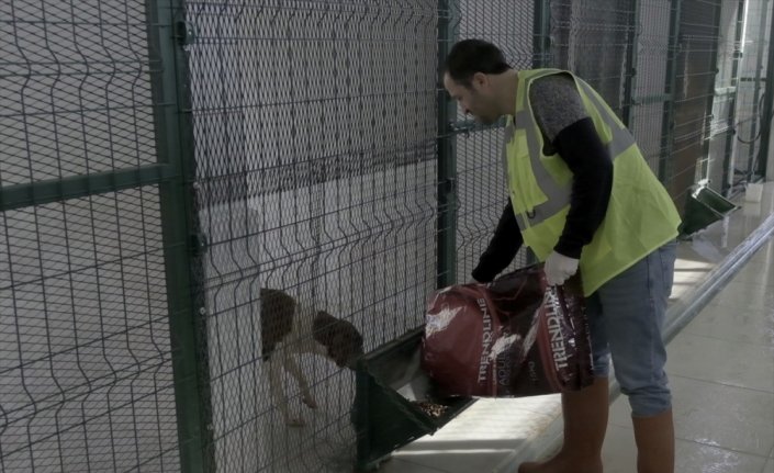 Amasya'da kurulan tesiste hayvan hastanesi de oluşturuluyor