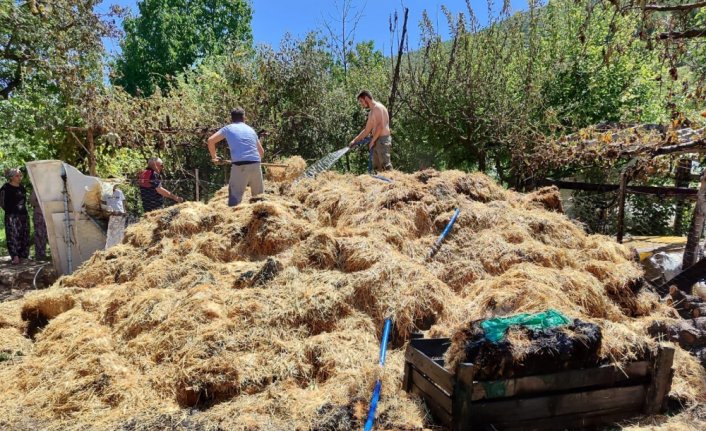 Amasya'da yangın sonucu 200 balya saman zarar gördü