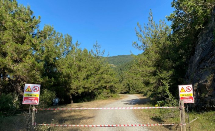 Bafra'da ormanlık alanlara girilmesi yasaklandı