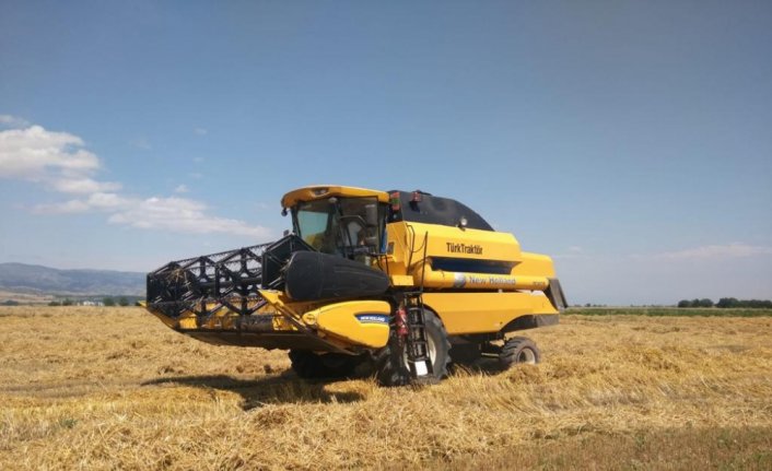 Gümüşhacıköy'de dane kaybına karşı biçerdöver kontrolleri başladı