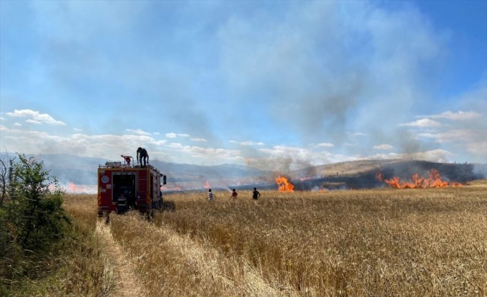 Tokat'ta yangın sonucu 20 dönüm buğday ekili alan zarar gördü