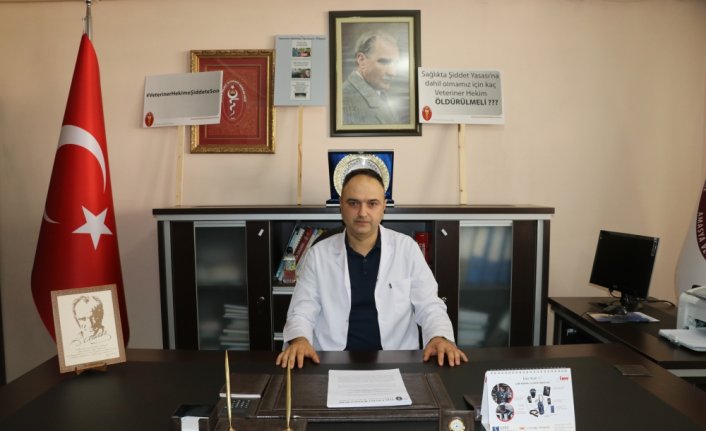 Amasya'da veterinerler şiddete karşı bir araya geldi