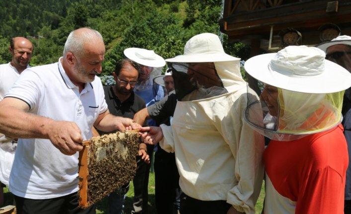 Artvin'de “Macahel Balı“nın tanıtımı ve sağımı yapıldı