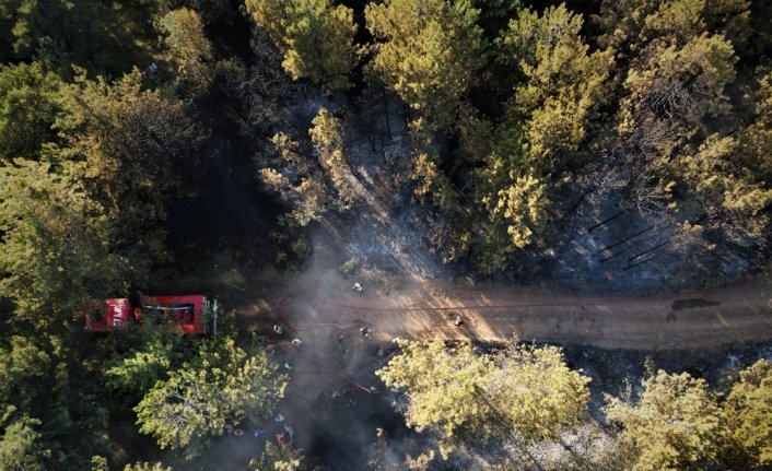 GÜNCELLEME - Kastamonu'da ormanlık alanda çıkan yangın kontrol altına alındı