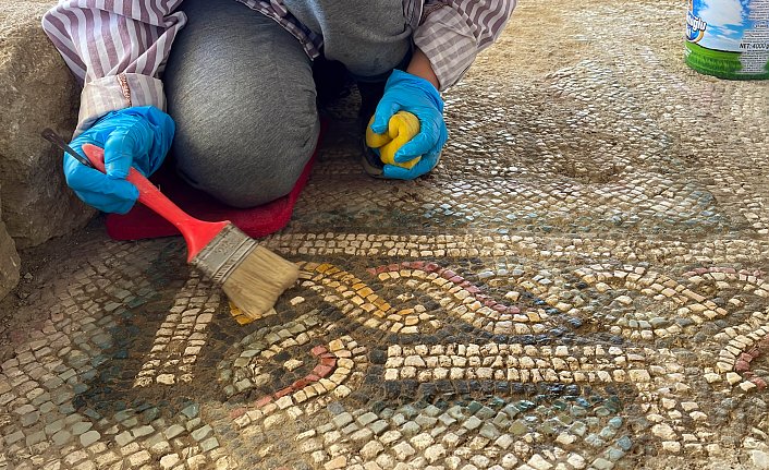 Pompeipolis Antik Kenti'ndeki 1800 yıllık mozaikler gün yüzüne çıkarılıyor