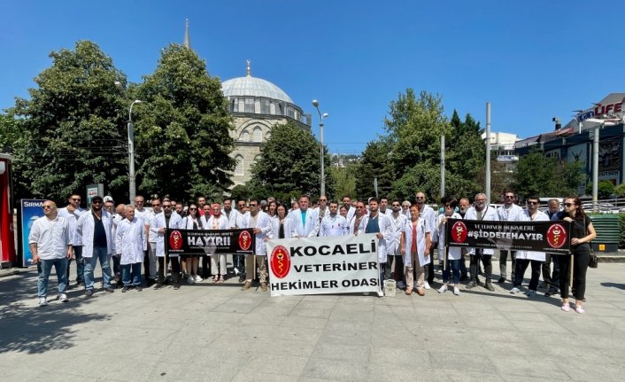 Sakarya, Zonguldak, Kocaeli ve Düzce'de veterinerler şiddet olaylarına tepki amacıyla iş bıraktı