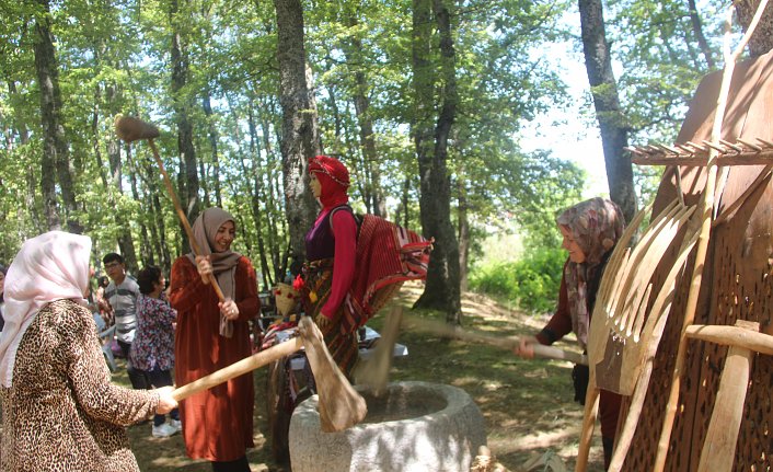 Taşova'da Karadeniz kültürünü tanıtım etkinliği düzenlendi