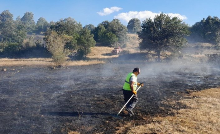 Tokat'ta çıkan anız yangını söndürüldü