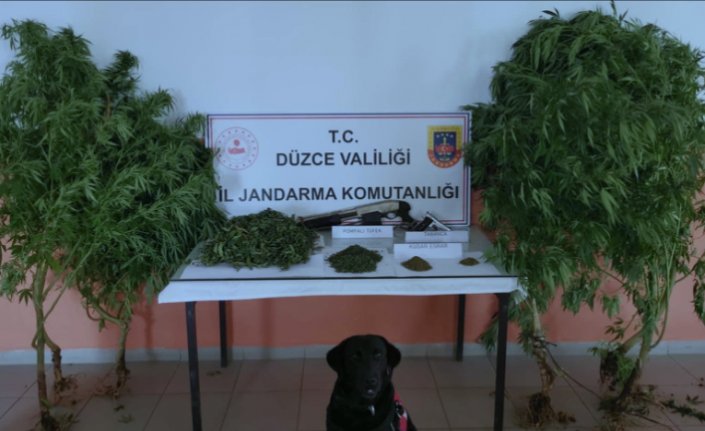 Düzce'de uyuşturucu operasyonunda 1 şüpheli gözaltına alındı