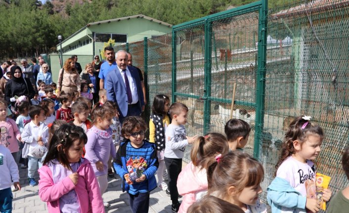 Amasya'daki hayvan barınağı ve hastanesi sahipsiz hayvanlar için hizmet vermeye başladı