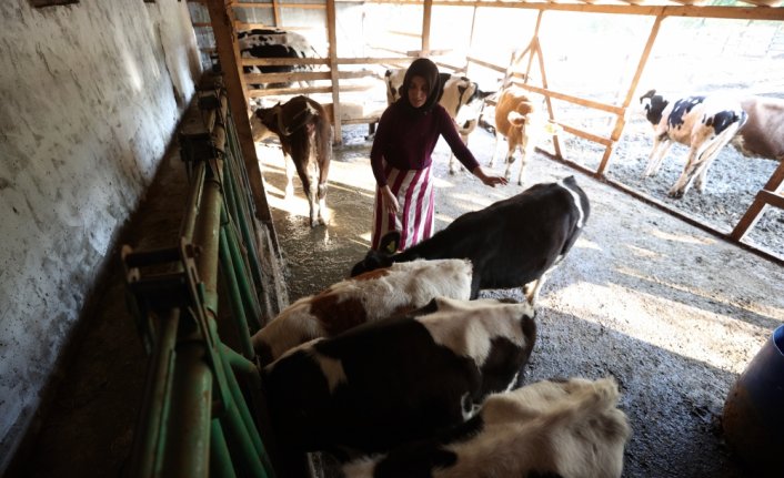 Bir inekle başladı, devlet desteğiyle çiftlik kurdu