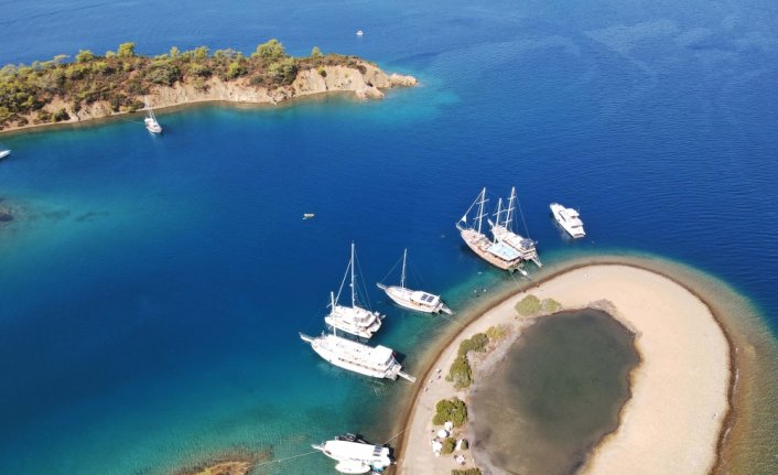 Çocuklar Akdeniz foklarının önemini farkındalık projesiyle öğrenecek