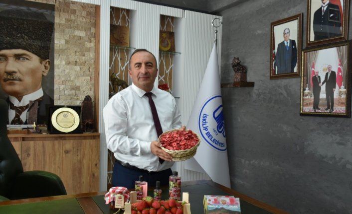 Coğrafi işaret tescilli İskilip çileğinden lokum ve kolonya üretildi